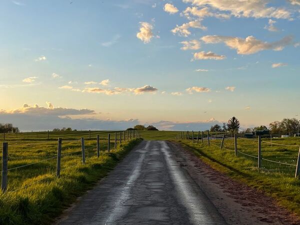 A quiet road lined with trees and open sky